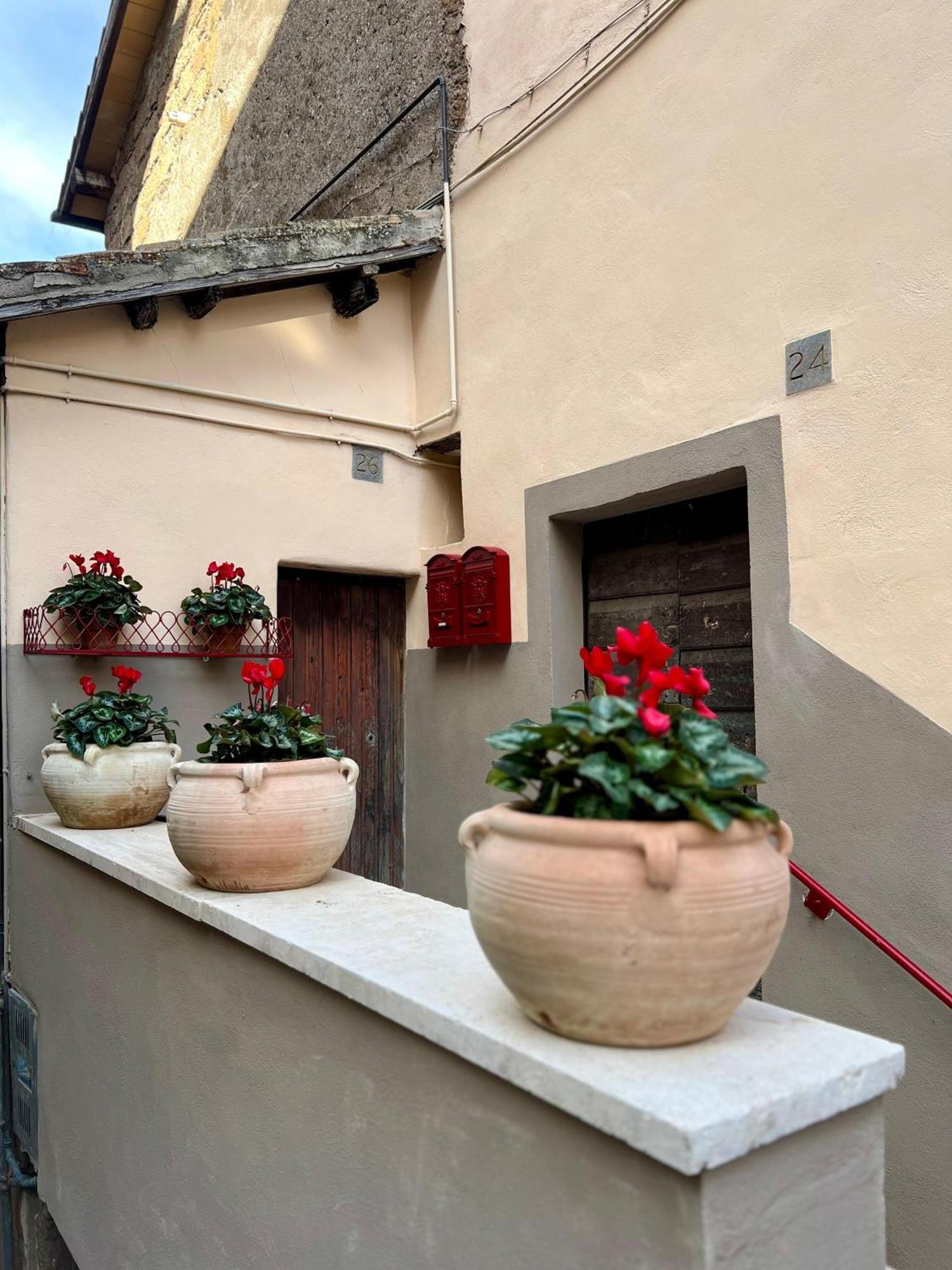 Elena'S Suite Sutri Exterior foto